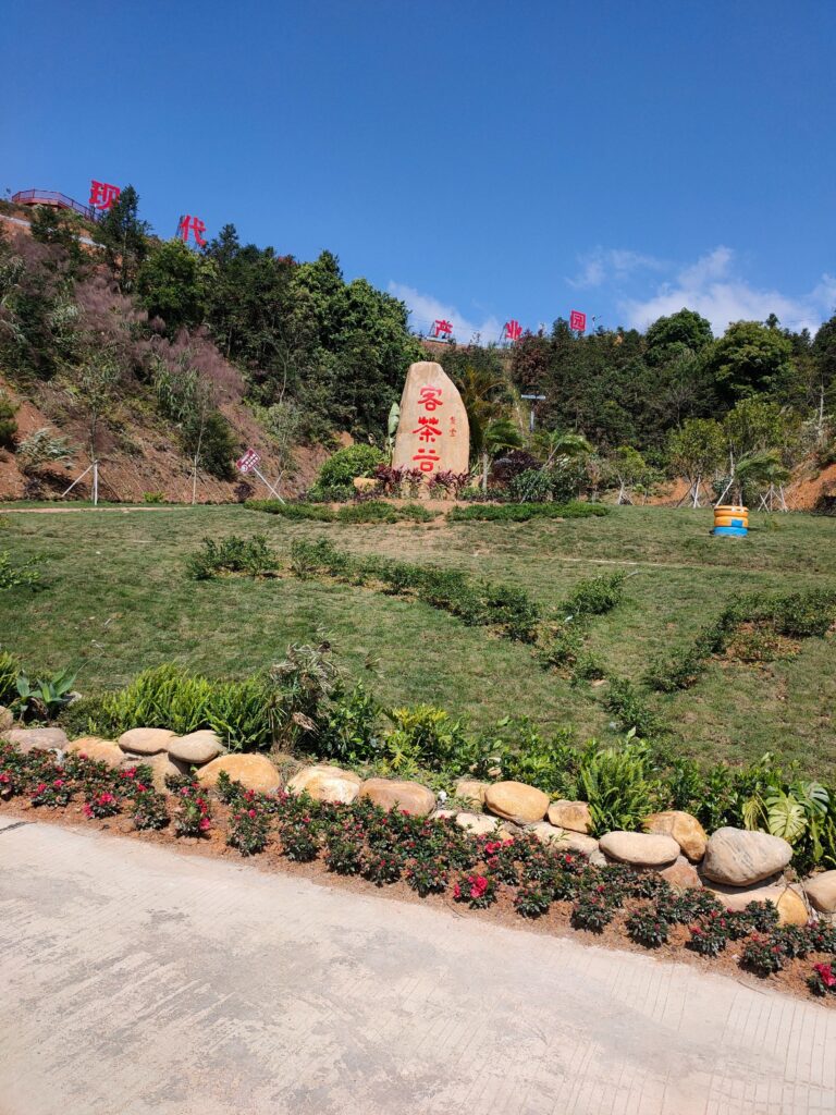 探秘紫金：一场沉浸于“蝉茶蜜韵”的山水人文之旅缩略图