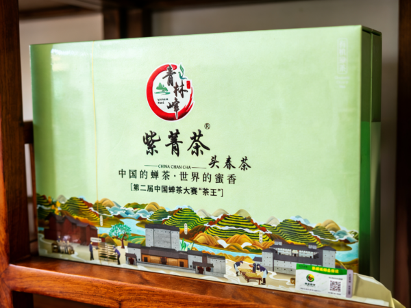 紫菁茶  头春茶